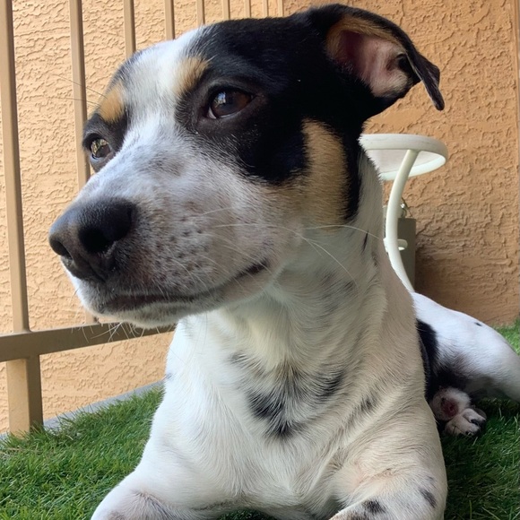 Welcome! Come on in... - Picture 8 of 8